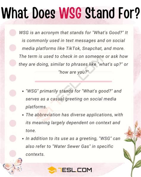 WSG Meaning in Text, and How to Use It in Text。